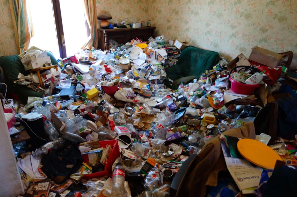 Salon envahi par l'accumulation — cas de syndrome de Diogène traité par BATIYS (photo anonymisée, accord client)